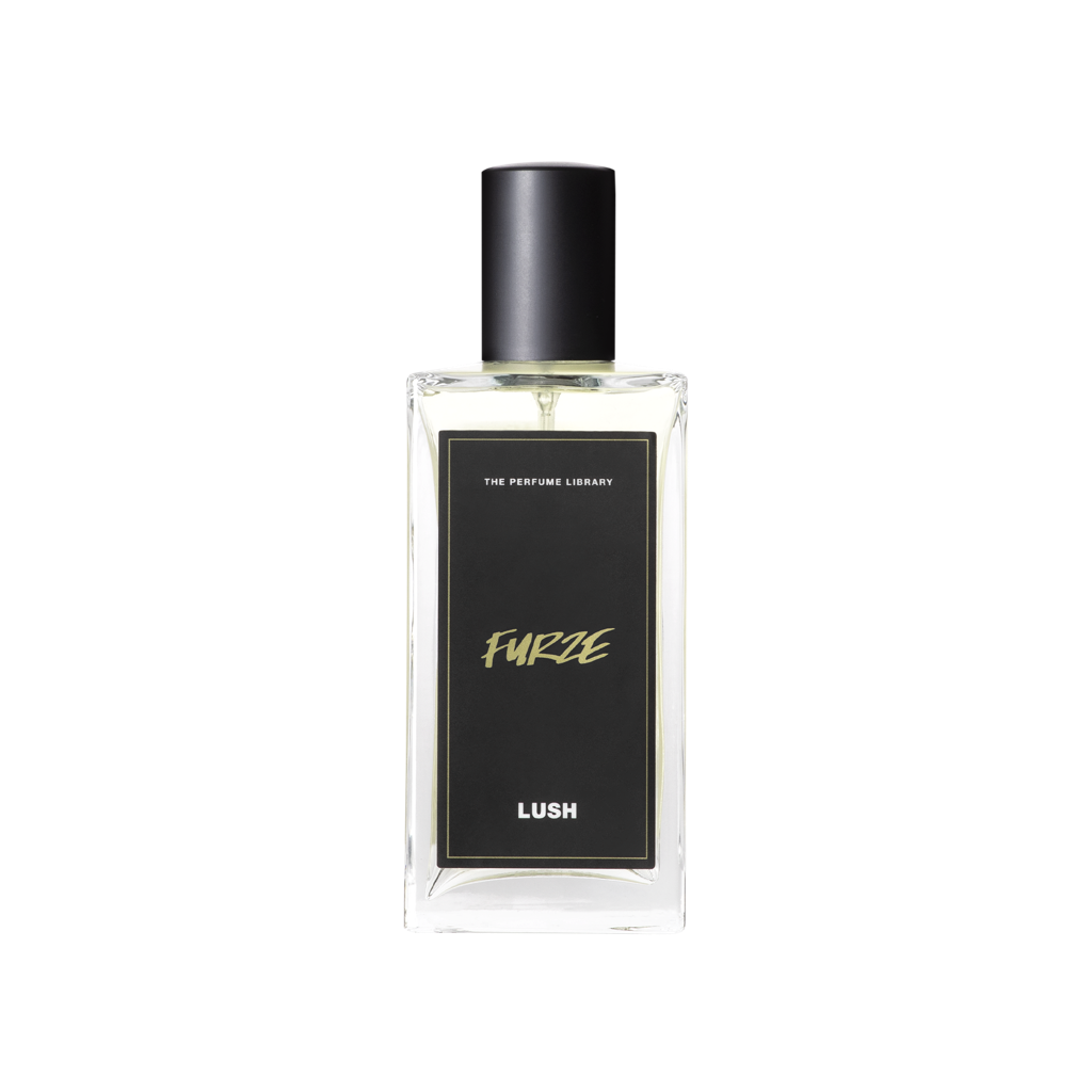 Furze - 100ml