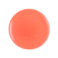 Rose Jam