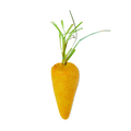 Baby Rainbow Carrots - 40g